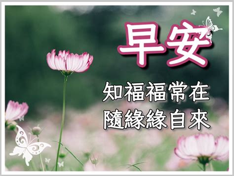 晚輩圖|超強長輩圖產生器推薦，長輩圖早安圖免費下載，還能。